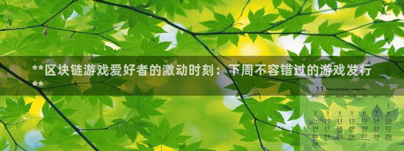 新城平台代理电话