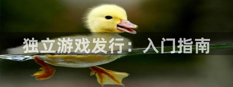 新城平台入.新城平台.全国联网是什么意思