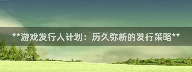 新城平台是干嘛的公司有哪些：**游戏发行人计划：历久弥新的发行策略**