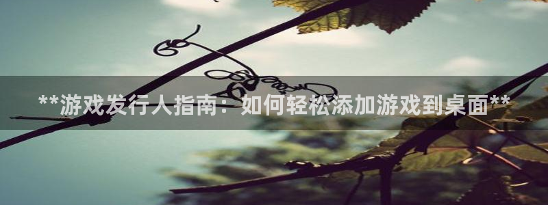 新城平台登录入口官网网址查询：**游戏发行人指南：如何轻松添加游戏到桌面**