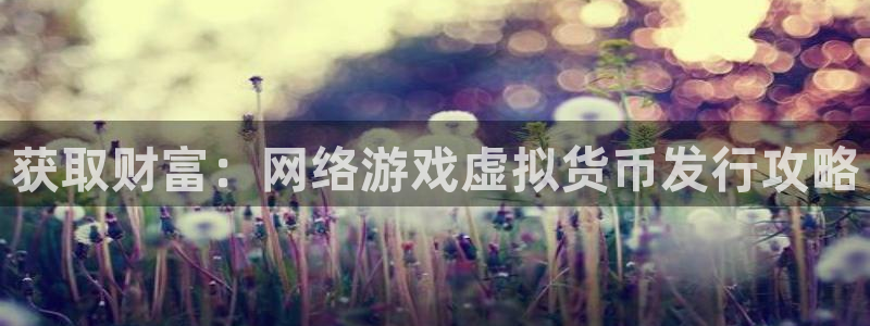新城平台官网注册账号：获取财富：网络游戏虚拟货币发行攻略