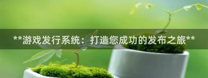 新城平台线路登录不上去怎么办呀：**游戏发行系统：打造您成功的发布之旅**