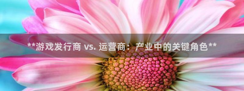 新城平台企业信息查询：**游戏发行商 vs. 运营商：产业中的关键角色**