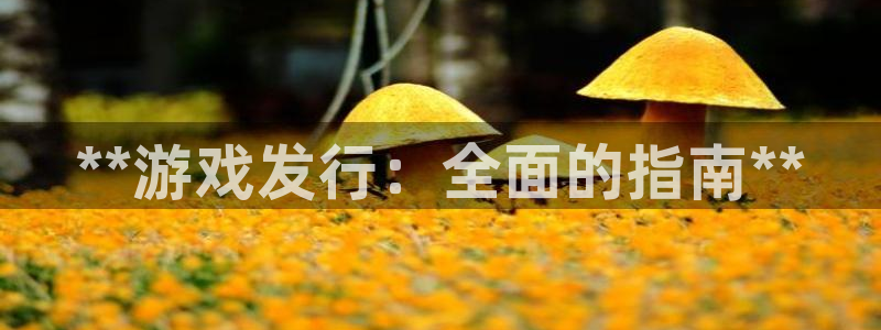 新城平台招商：**游戏发行：全面的指南**