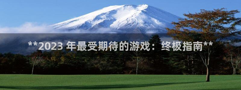 新城平台代理：**2023 年最受期待的游戏：终极指南**