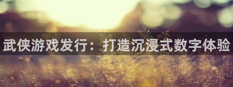 新城平台线路登录不上去怎么办呀：武侠游戏发行：打造沉浸式数字体验