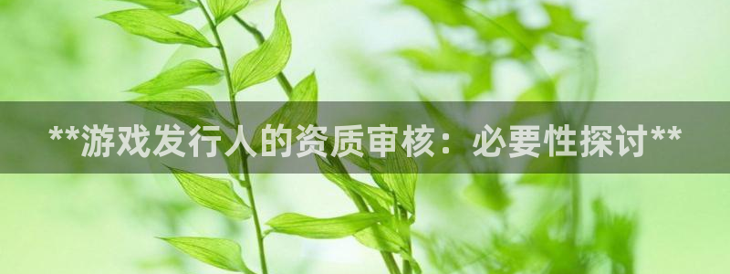 新城平台线路登录不上去怎么回事：**游戏发行人的资质审核：必要性探讨**
