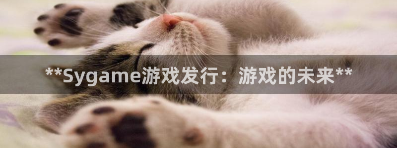 新城平台官网注册流程：**Sygame游戏发行：游戏的未来**