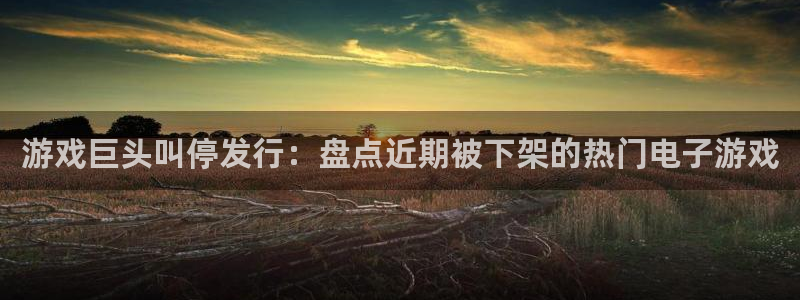 新城平台登录密码忘了：游戏巨头叫停发行：盘点近期被下架的热门电子游戏