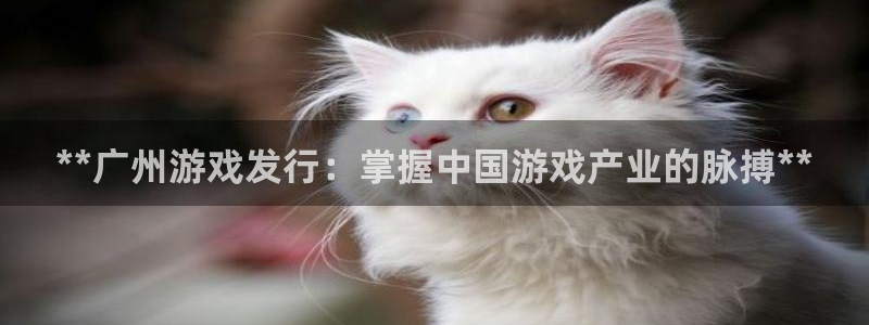 新城平台登录入口官网首页下载：**广州游戏发行：掌握中国游戏产业的脉搏**