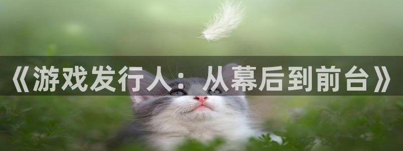新城平台进.新城平台.稳定风险提示