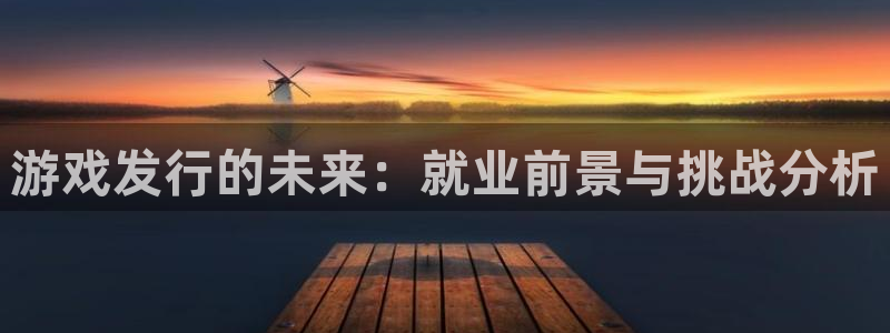 新城平台线路登录不上去了怎么回事