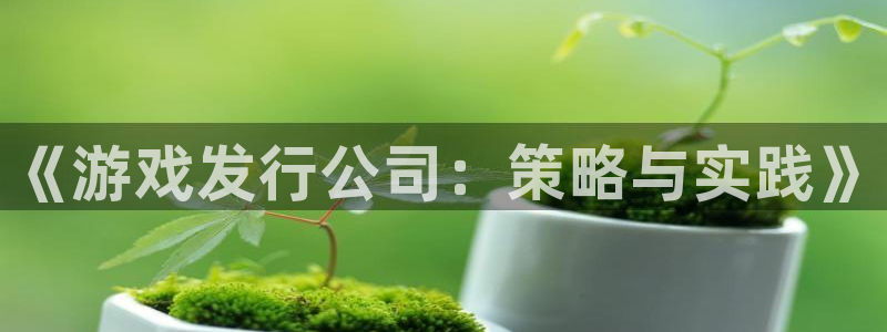 新城平台官网
