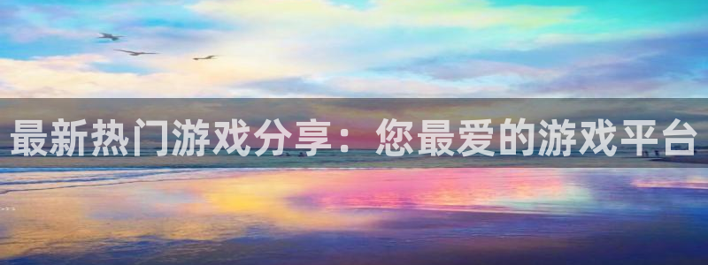 新城平台是干嘛的公司