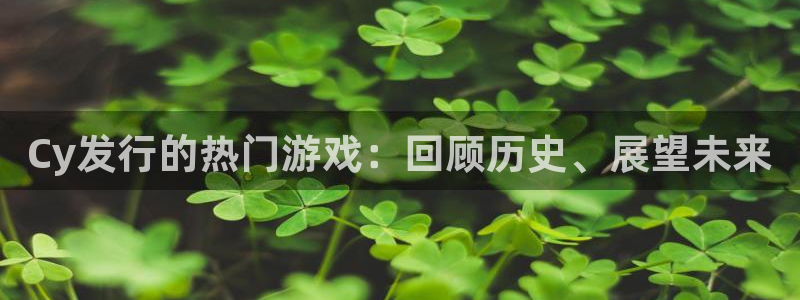 新城平台登录入口网站