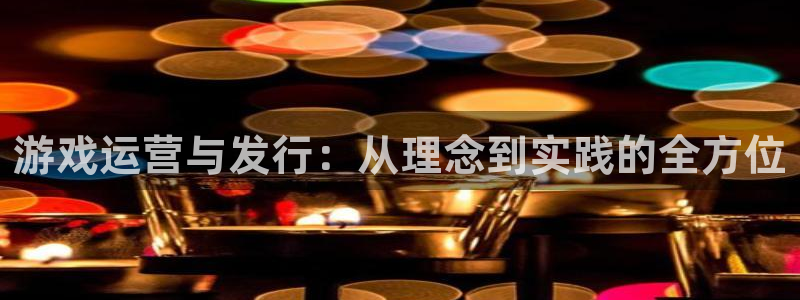 新城平台公司