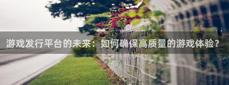 新城平台登录入口网址