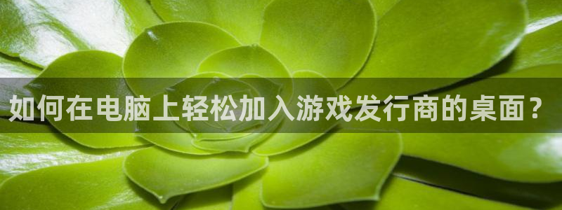 新城平台注册公司流程