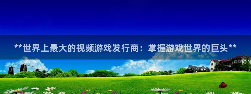 新城平台代理注册流程：**世界上最大的视频游戏发行商：掌握游戏世界的巨头**