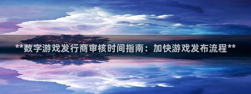 新城平台登录入口官网查询信息：**数字游戏发行商审核时间指南：加快游戏发布流程**