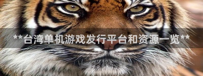 新城平台登录入口官网下载：**台湾单机游戏发行平台和资源一览**