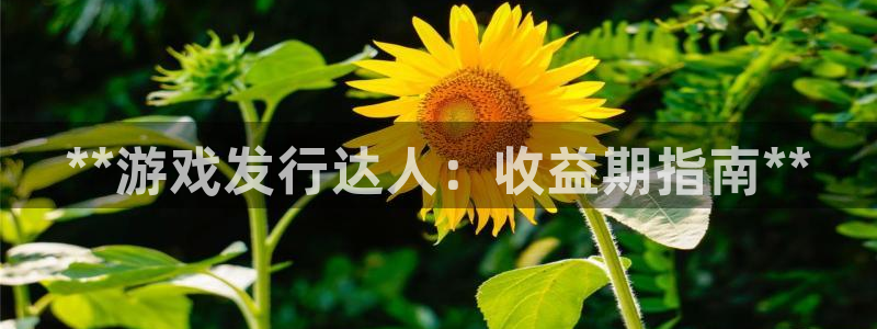 新城平台注册网址是多少：**游戏发行达人：收益期指南**