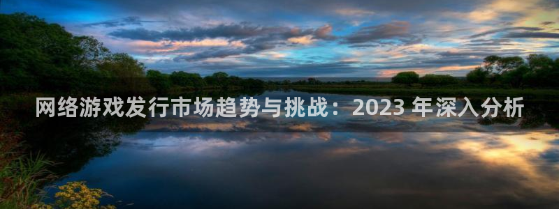 新城平台登录密码忘了怎么办：网络游戏发行市场趋势与挑战：2023 年深入分析