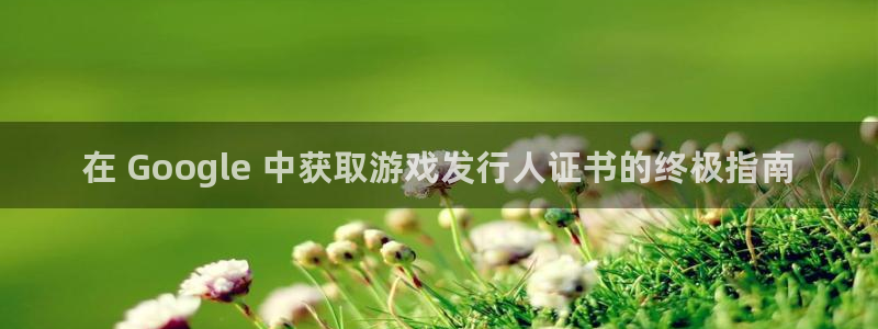 新城平台记7O777：在 Google 中获取游戏发行人证书的终极指南