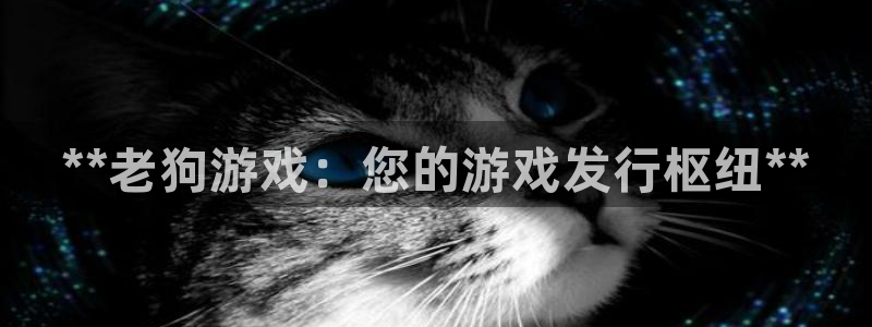 新城平台登录入口官网下载手机版：**老狗游戏：您的游戏发行枢纽**