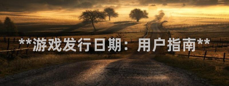新城平台线路登录：**游戏发行日期：用户指南**