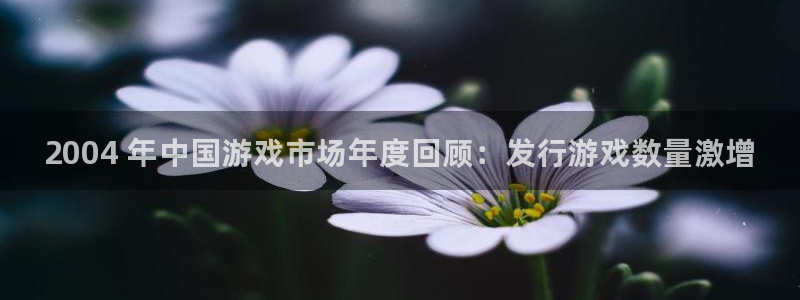 新城平台代理：2004 年中国游戏市场年度回顾：发行游戏数量激增