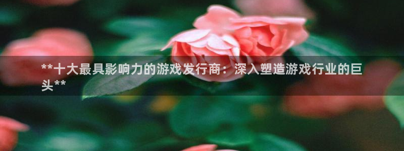 新城平台登录密码忘了怎么找回：**十大最具影响力的游戏发行商：深入塑造游戏行业的巨
头**
