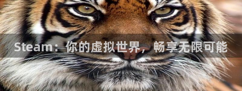 新城平台登录入口官网下载