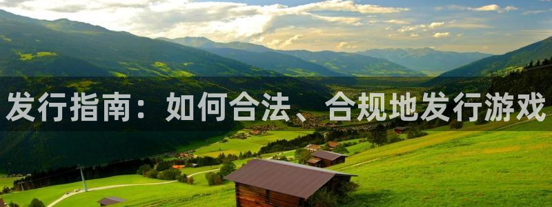 新城平台主管：发行指南：如何合法、合规地发行游戏