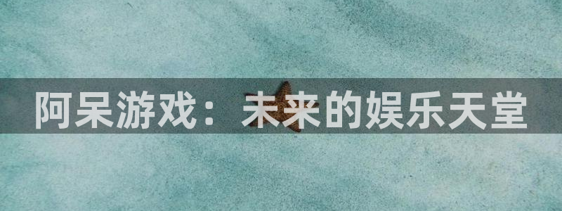 新城平台是干嘛的公司有哪些：阿呆游戏：未来的娱乐天堂