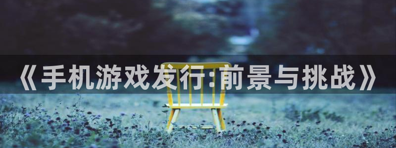 新城平台登录入口官网下载app：《手机游戏发行:前景与挑战》