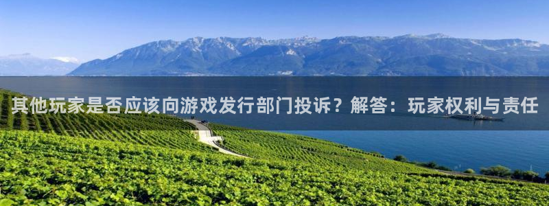 新城平台线路登录不上去怎么办：其他玩家是否应该向游戏发行部门投诉？解答：玩家权利与责任