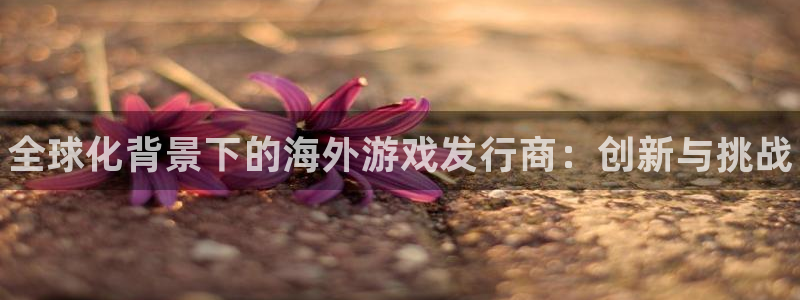 新城平台注册网址是什么：全球化背景下的海外游戏发行商：创新与挑战