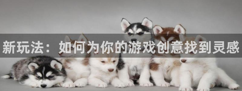 新城平台登录密码忘了怎么找回