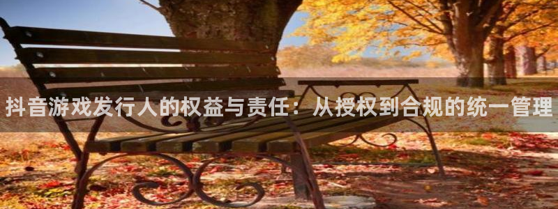 新城平台游戏：抖音游戏发行人的权益与责任：从授权到合规的统一管理